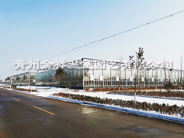 內(nèi)蒙古玻璃溫室大棚